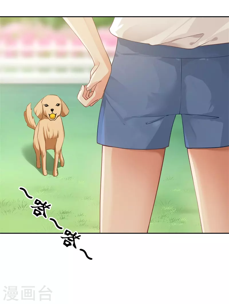 第5话 你是猪吗 第4页