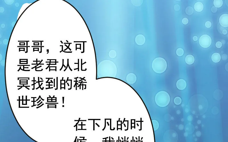 我卖了大王 第2页
