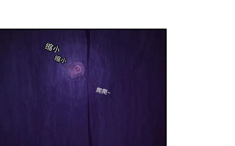 59-靓鲲收靓 第31页