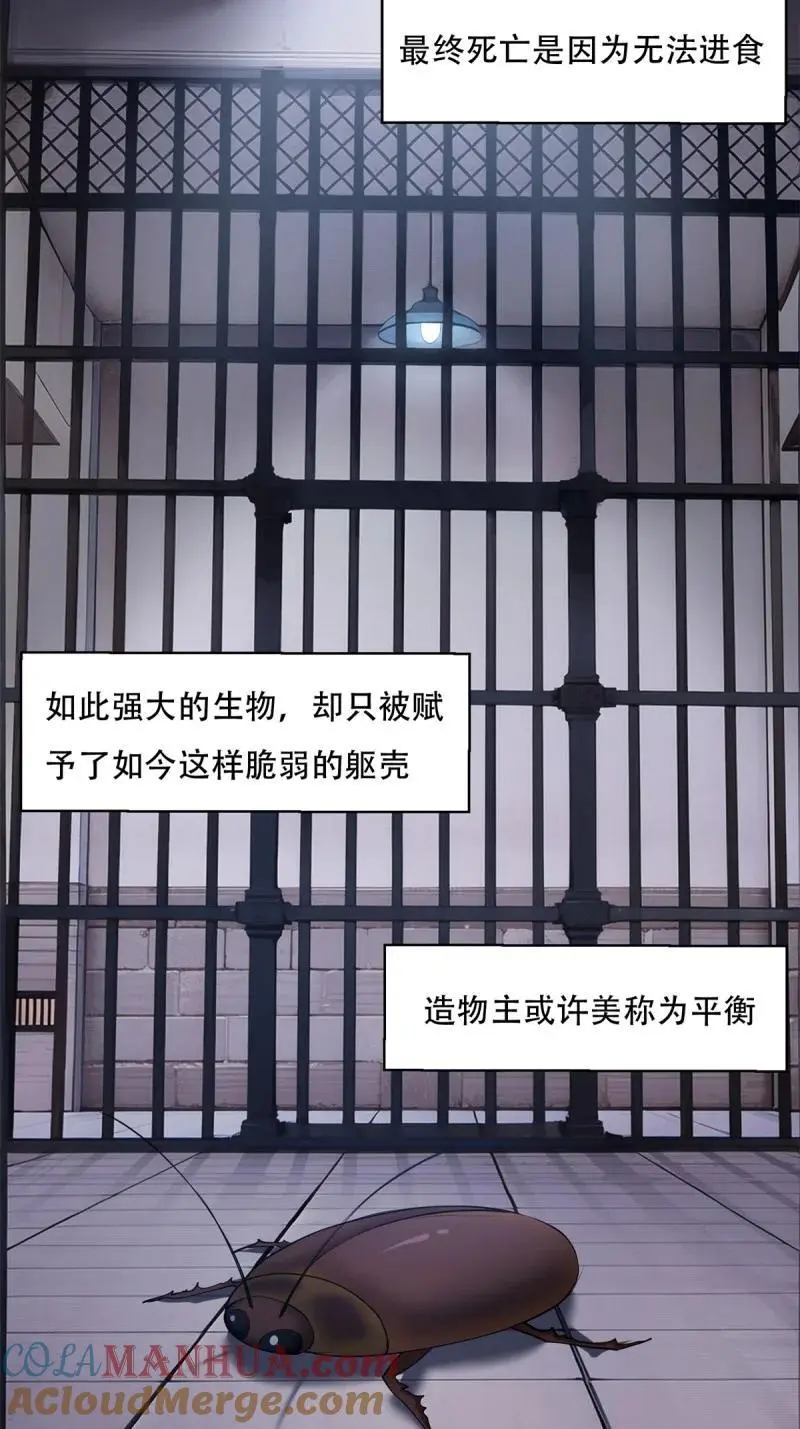 225 第216话 第13页