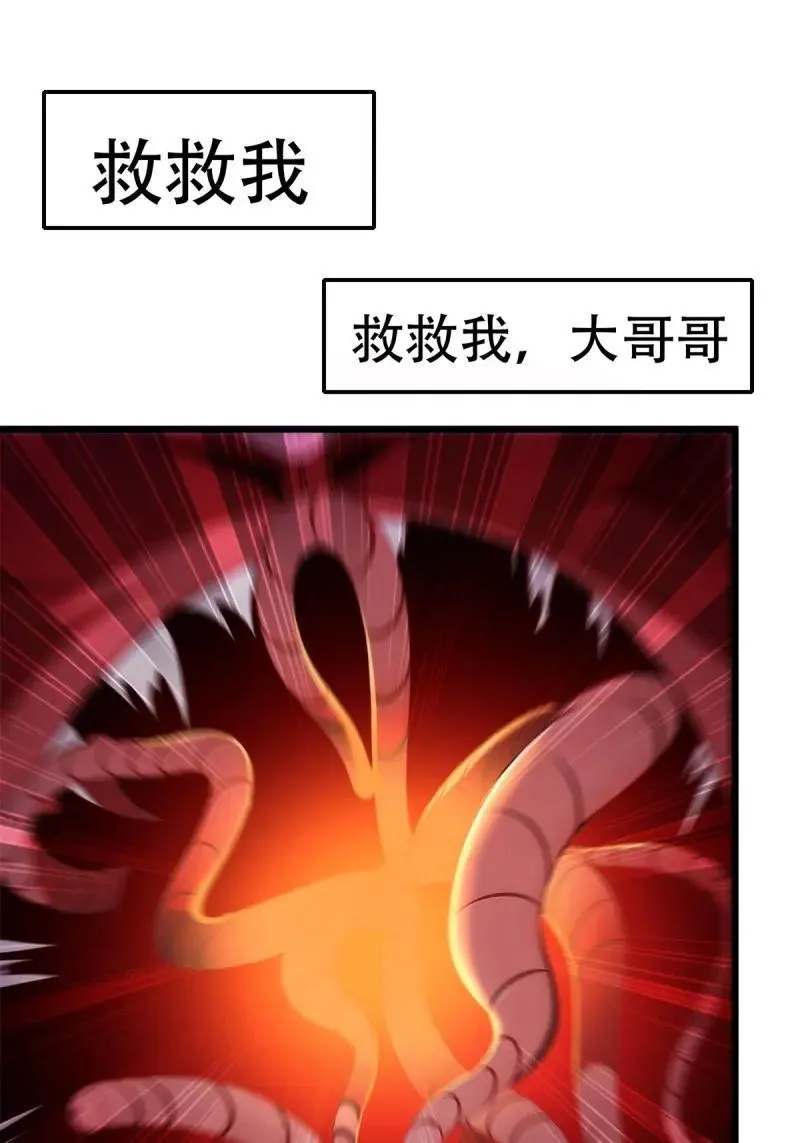233 第224话 第5页