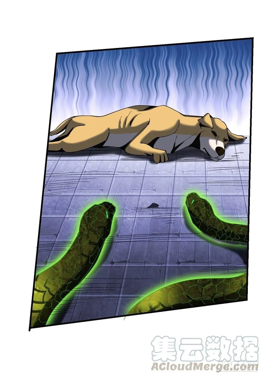 71下：狗 第19页