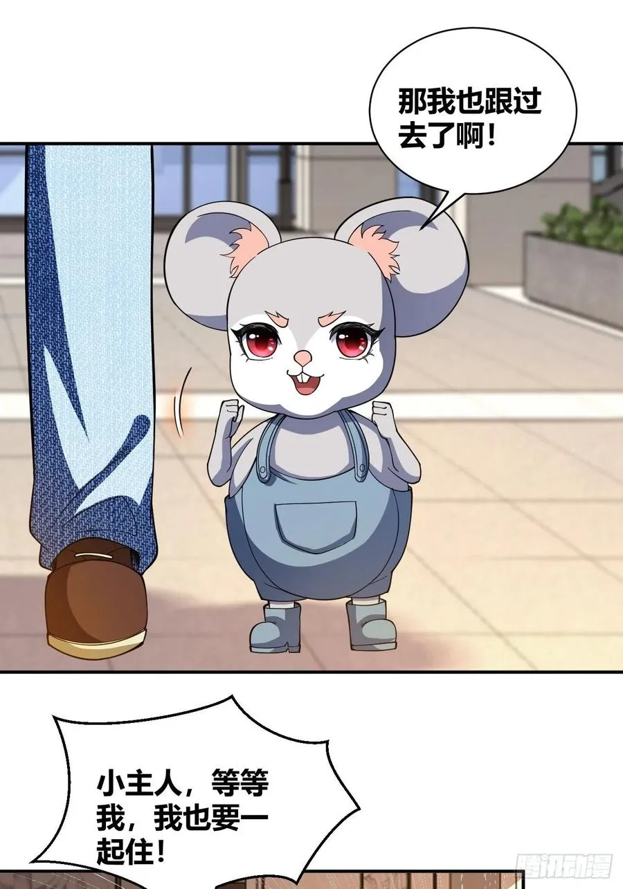 91 第15页