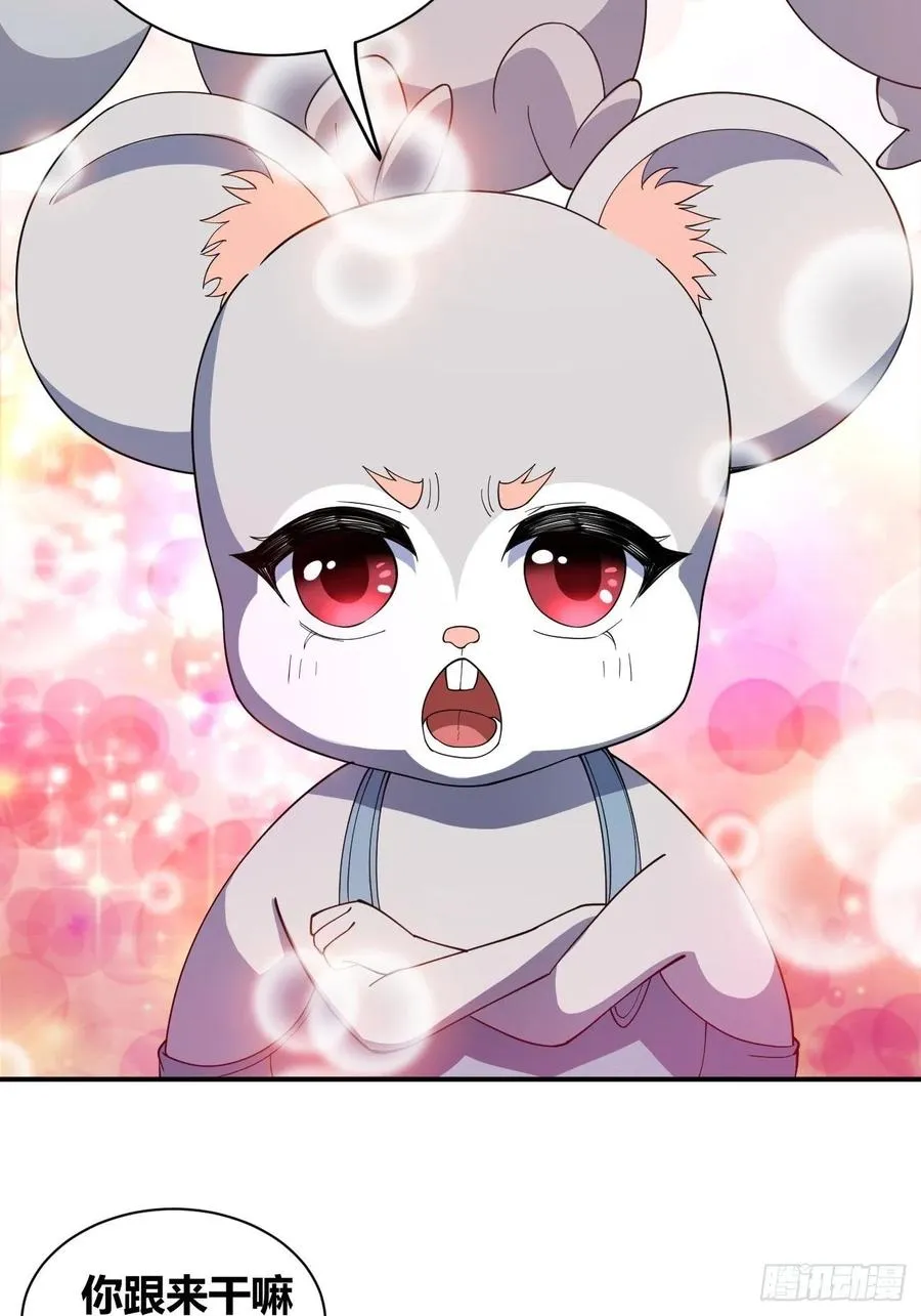 91 第20页