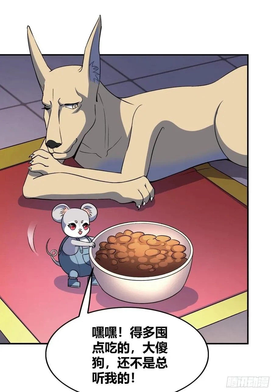 91 第38页