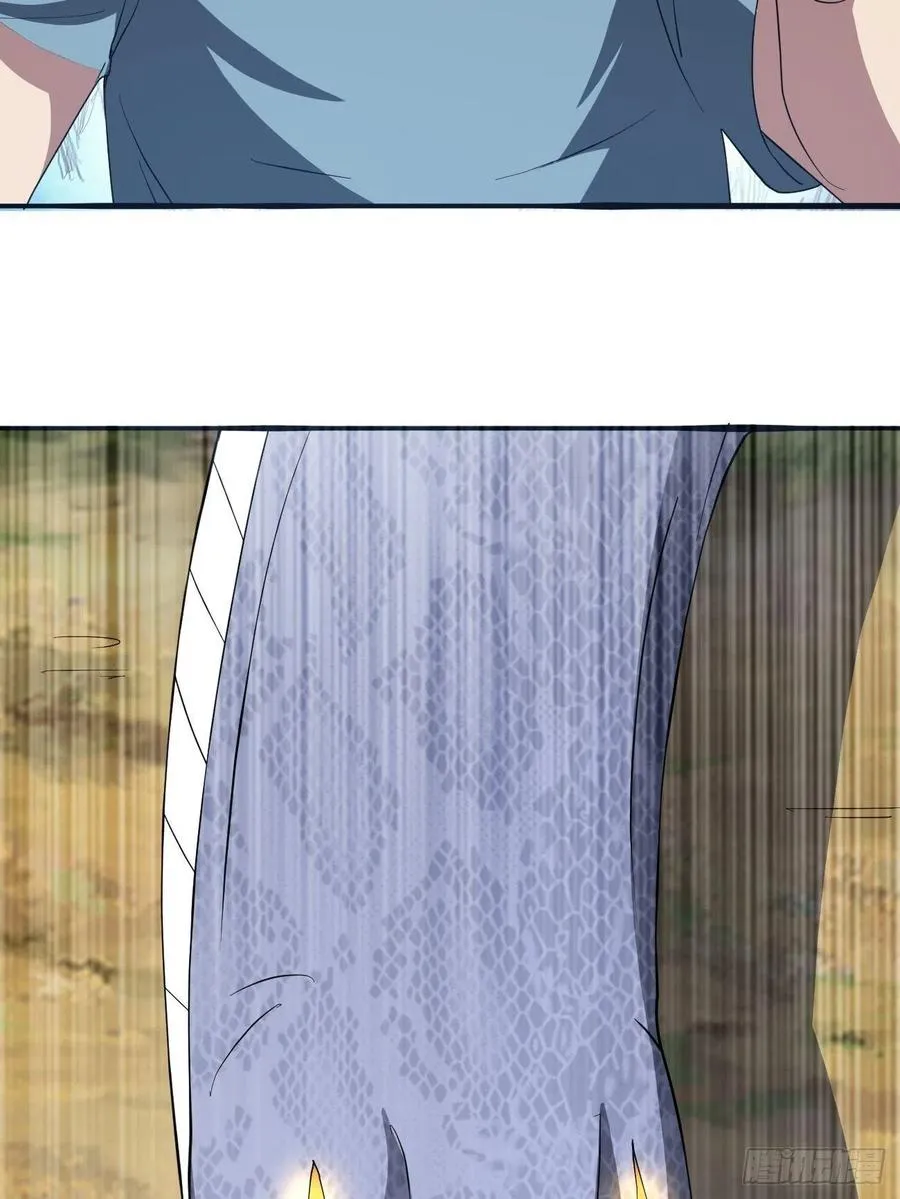 121 第41页