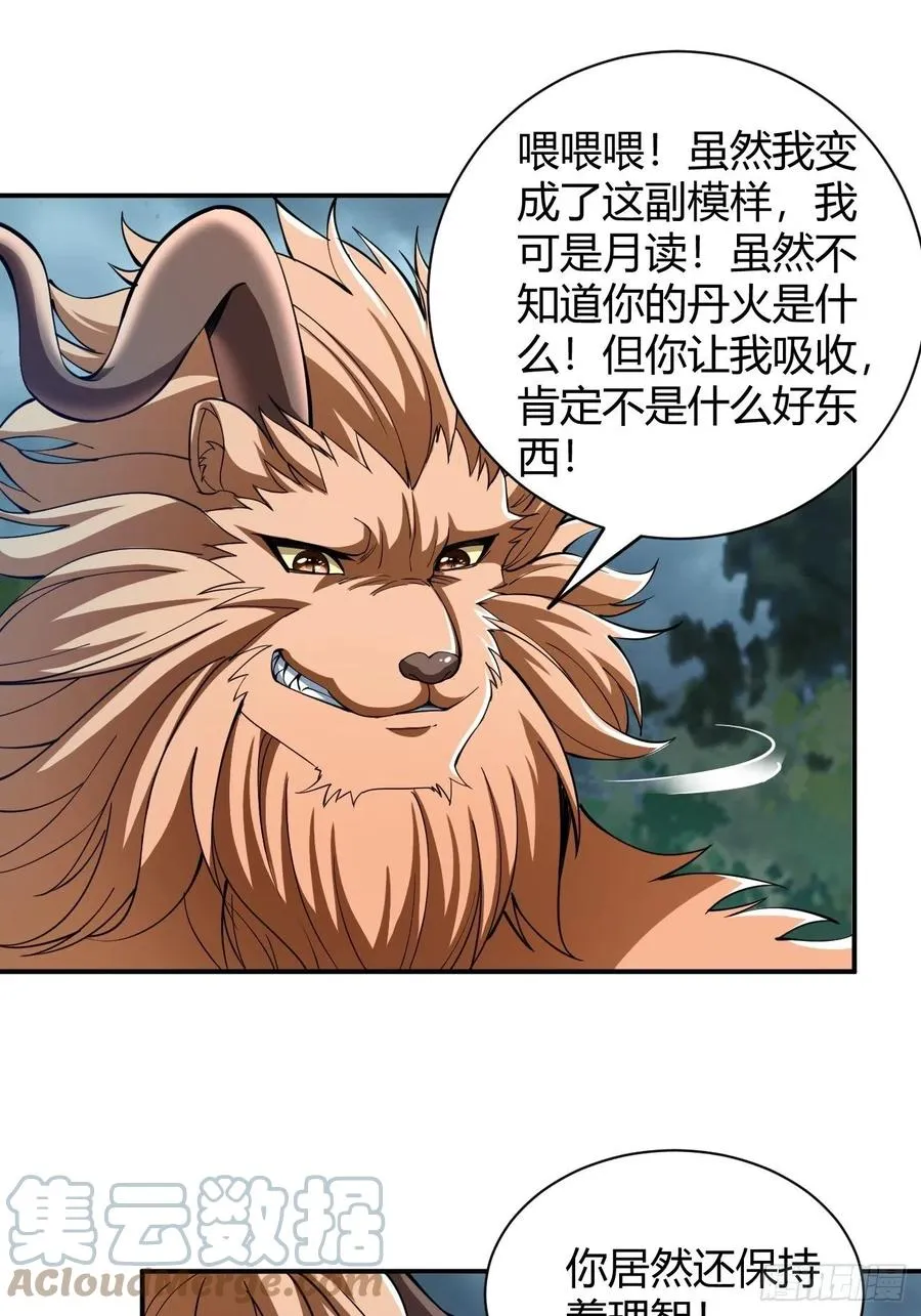 141 第15页