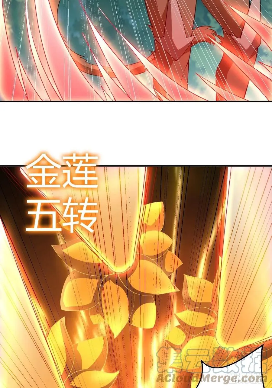 141 第33页