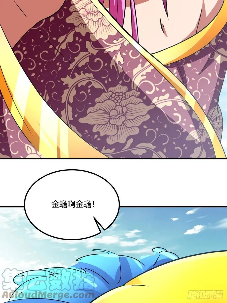 146 第31页