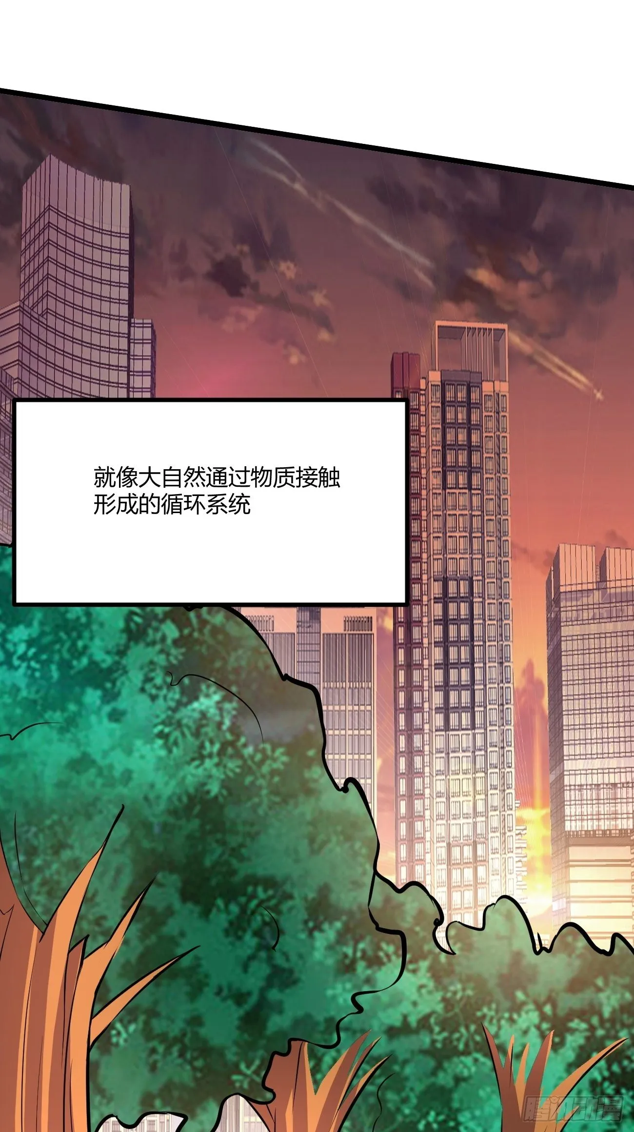223 第16页