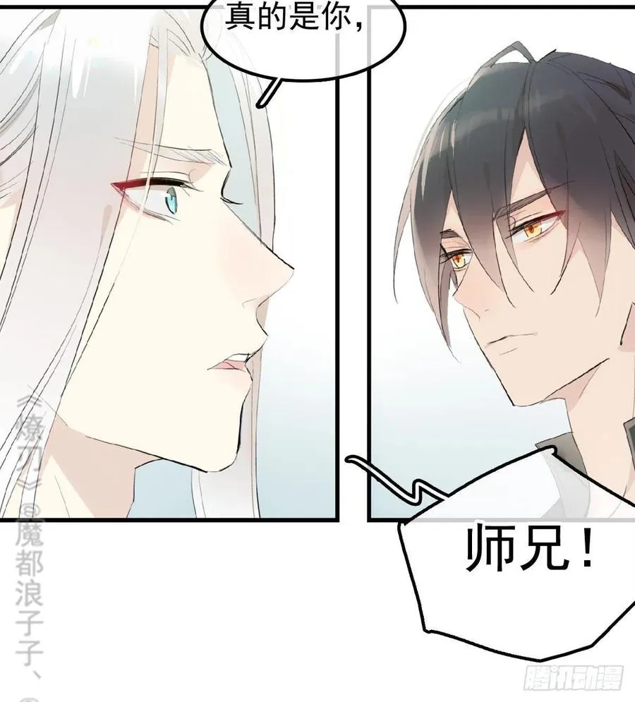 209 要觉玥还是师兄 第12页