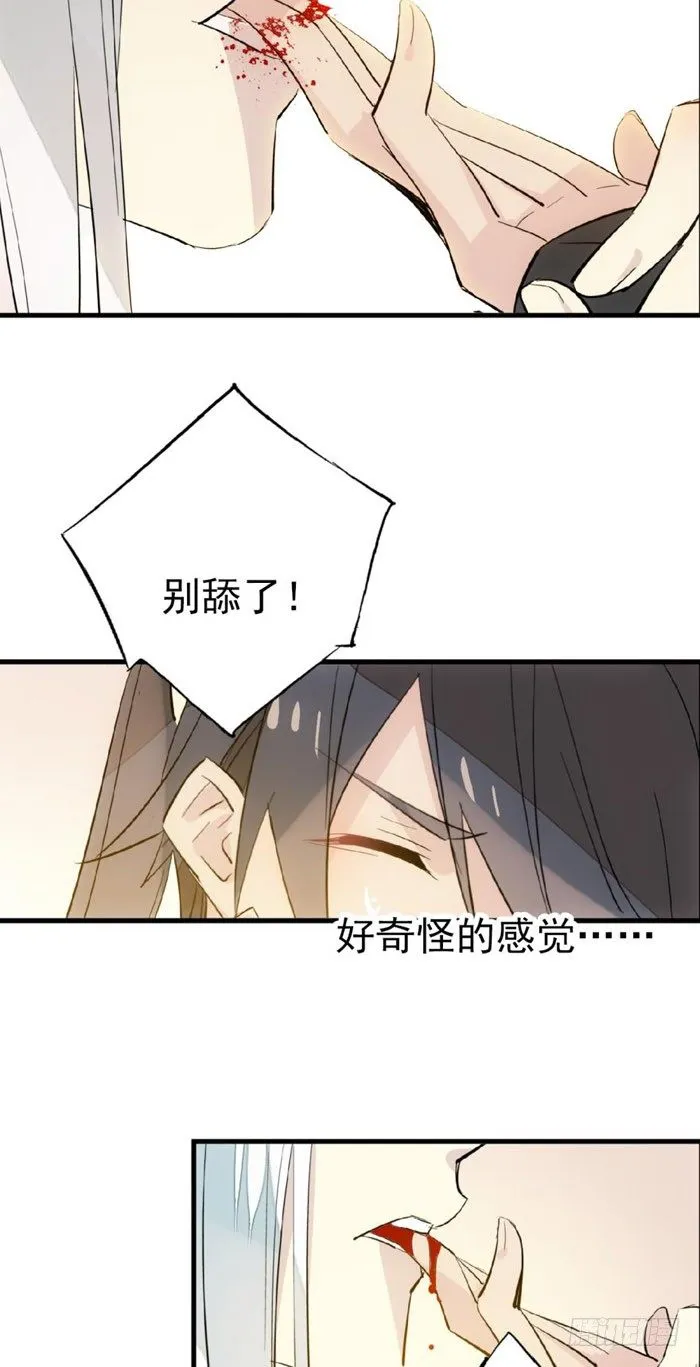 39 没用也是我剑鞘 第7页