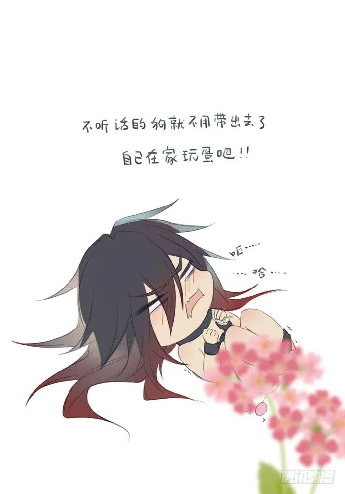 老罗的训狗手册2 第6页