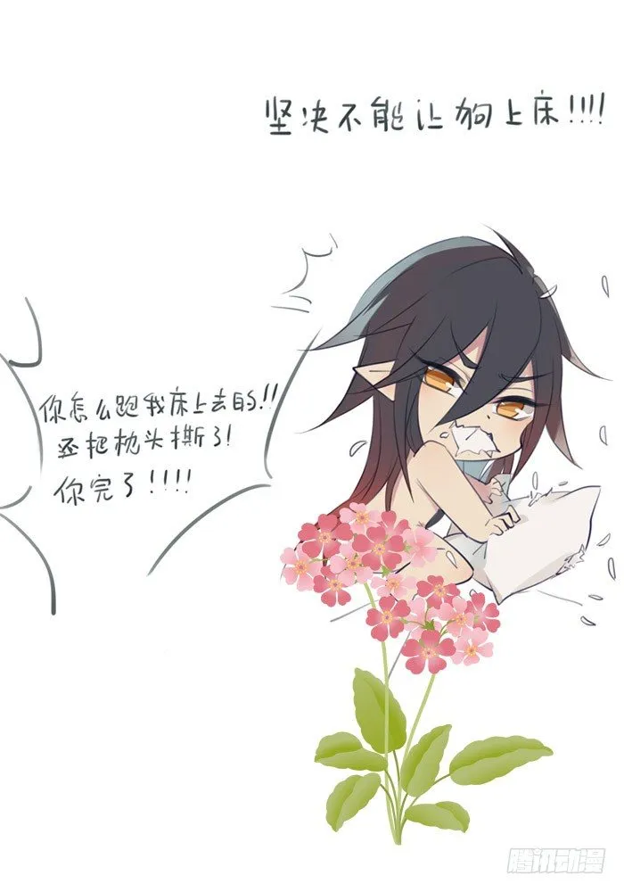 老罗的训狗手册2 第9页