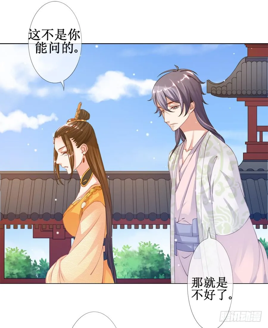 东宫C位超热门 第37页