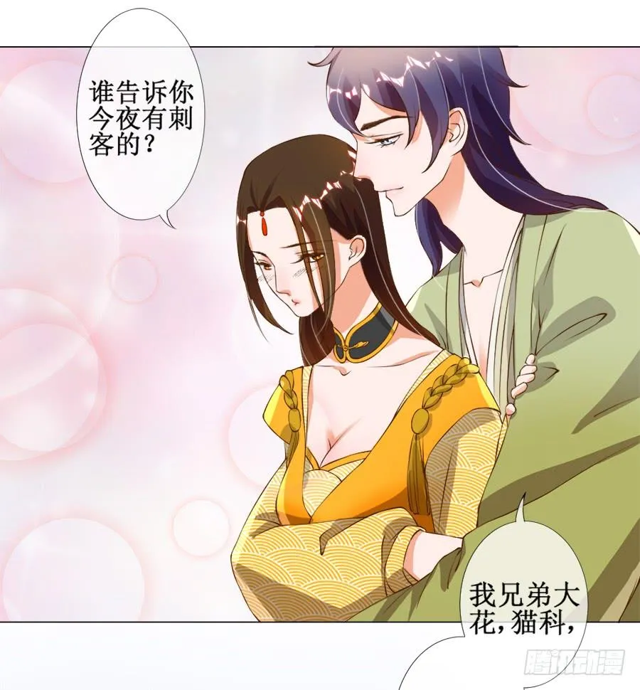 刺客也不好当 第15页