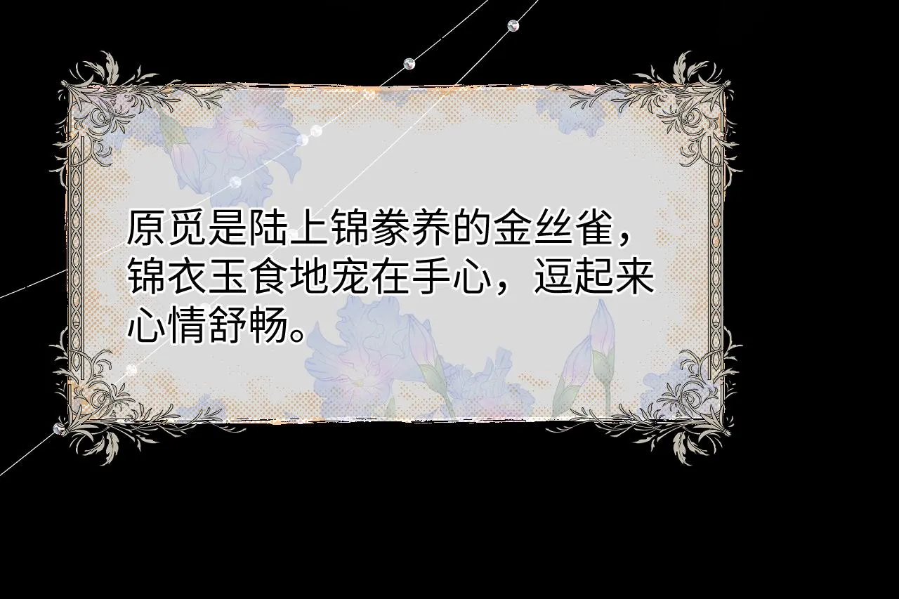第3话 兔子发飙了 第10页