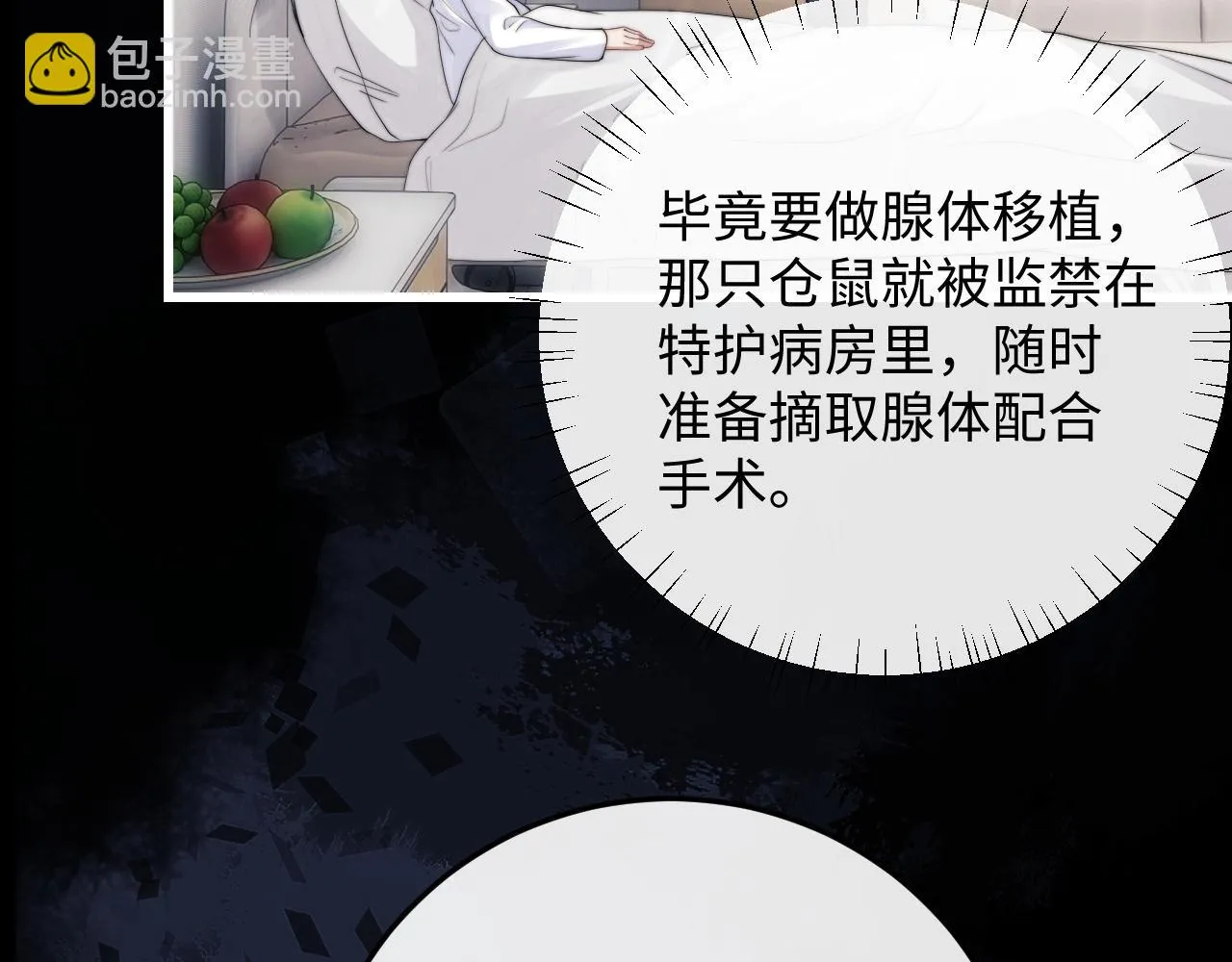 第21话 是宝贝也是筹码 第10页