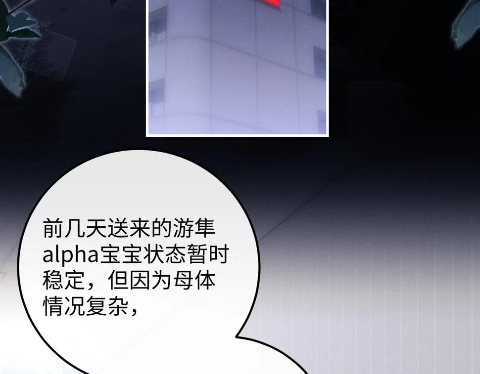 第38话 鹰隼高帅！ 第41页
