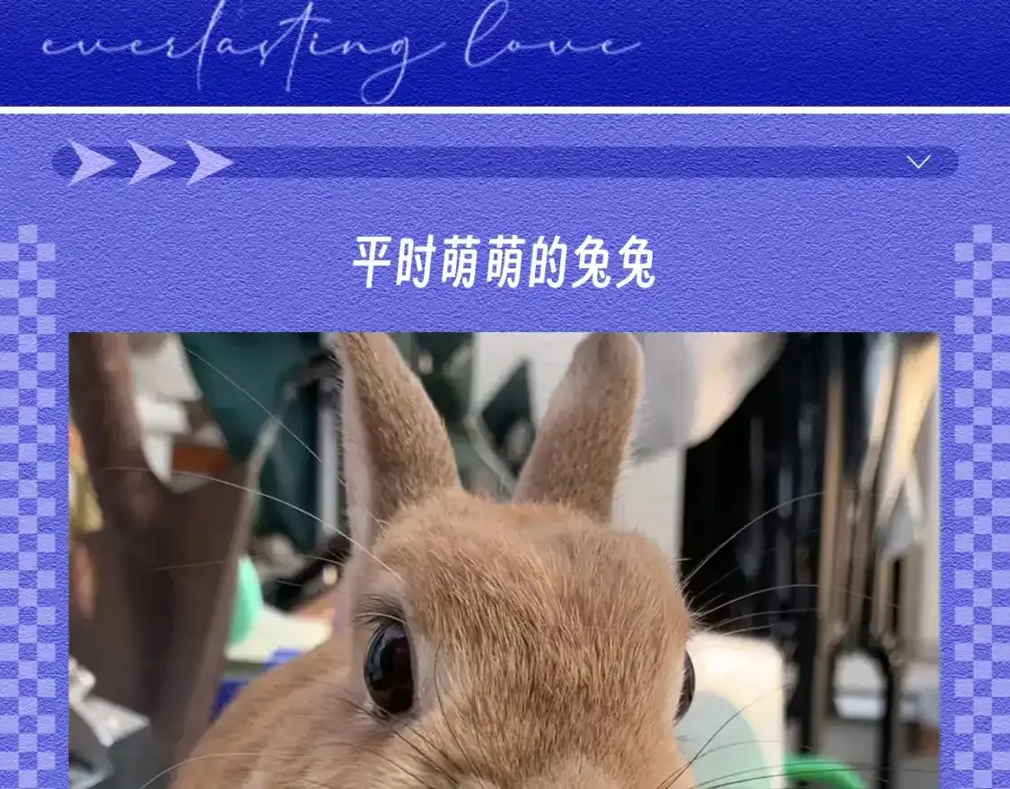 第45期 整活企划：原来垂耳执事很写实！ 第2页