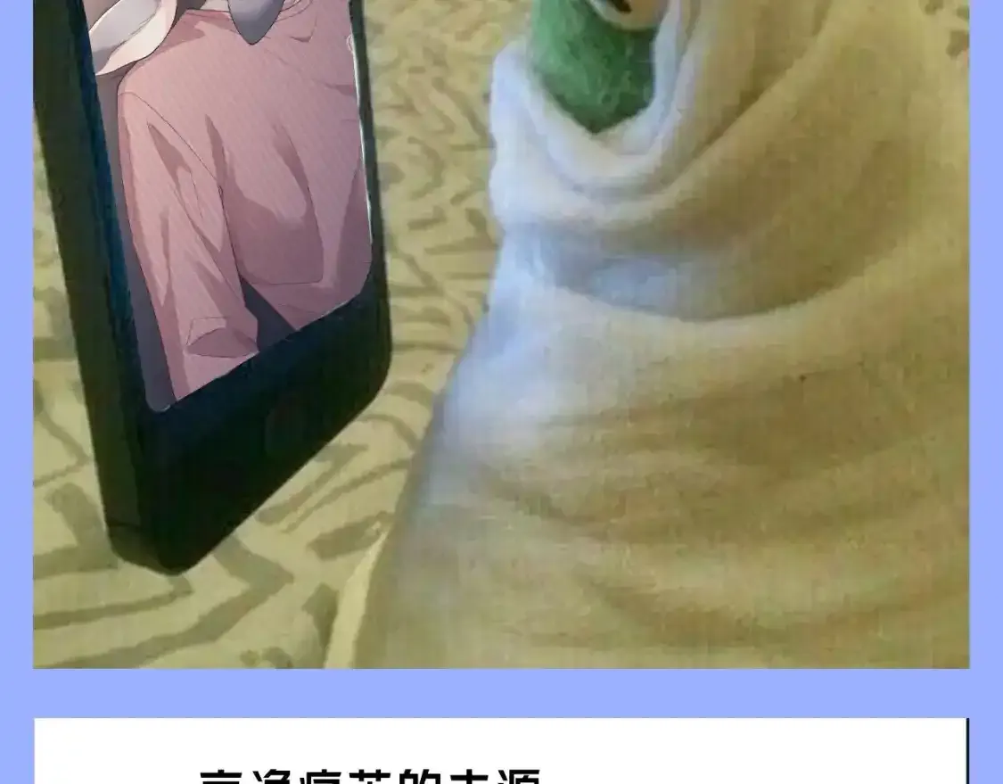 第35期 整活企划：一波梗图整活 第7页