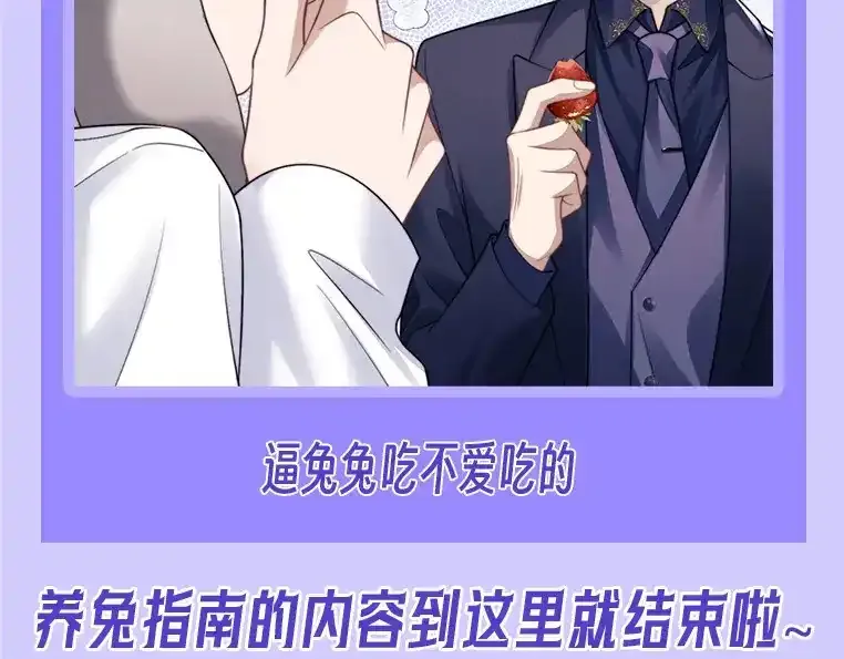 第19期 整活企划：养兔指南 第25页