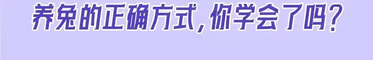 第19期 整活企划：养兔指南 第26页
