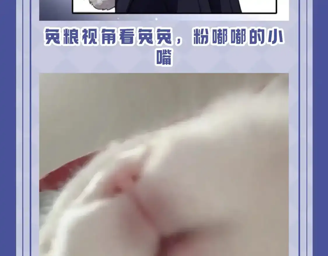 第53期 搞点事：陆上锦！放下那个小兔子让我来！ 第6页