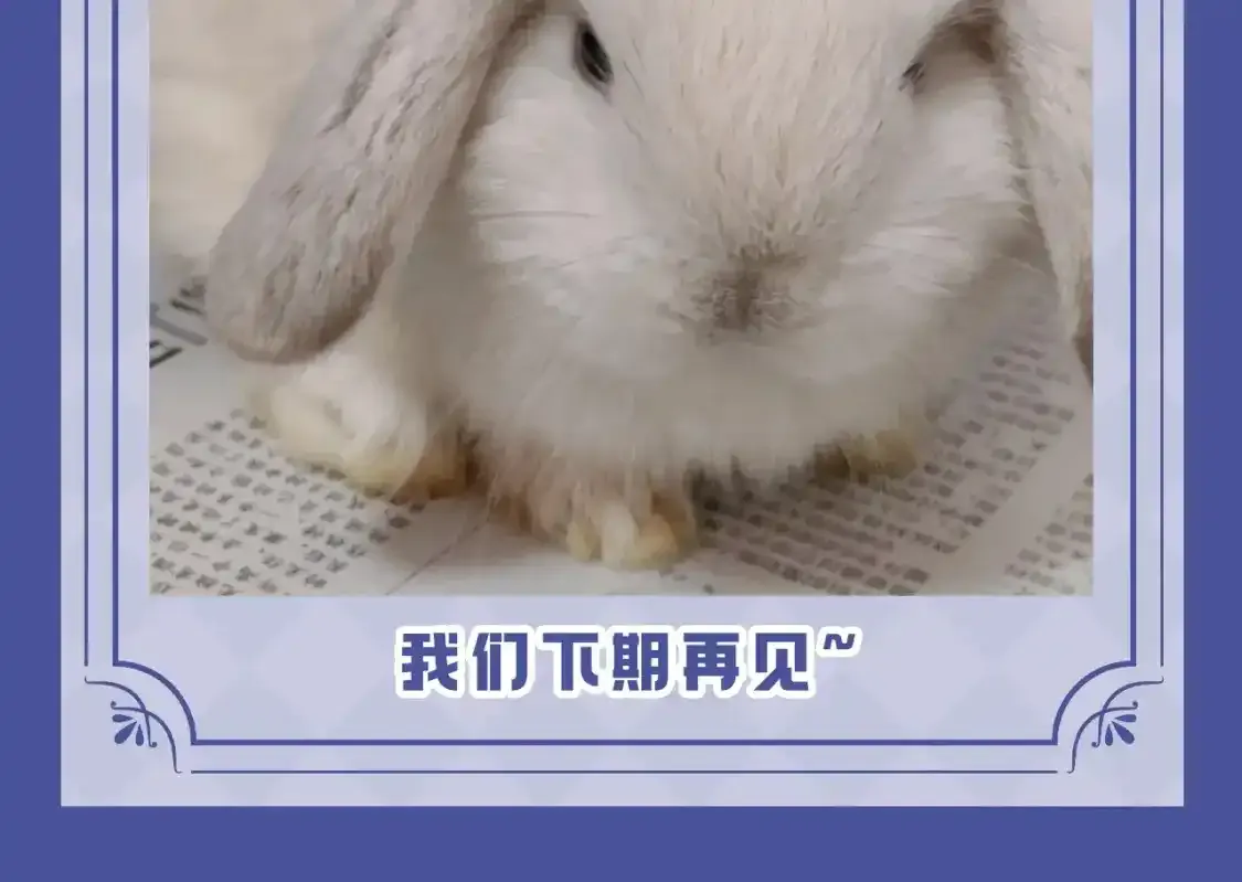 第53期 搞点事：陆上锦！放下那个小兔子让我来！ 第14页