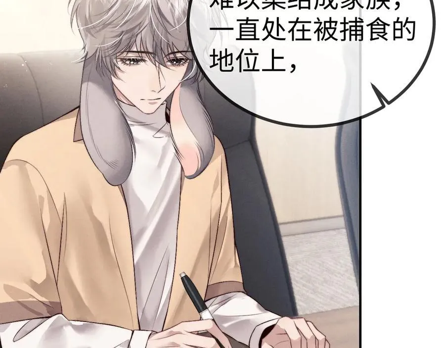 第149话 第41页