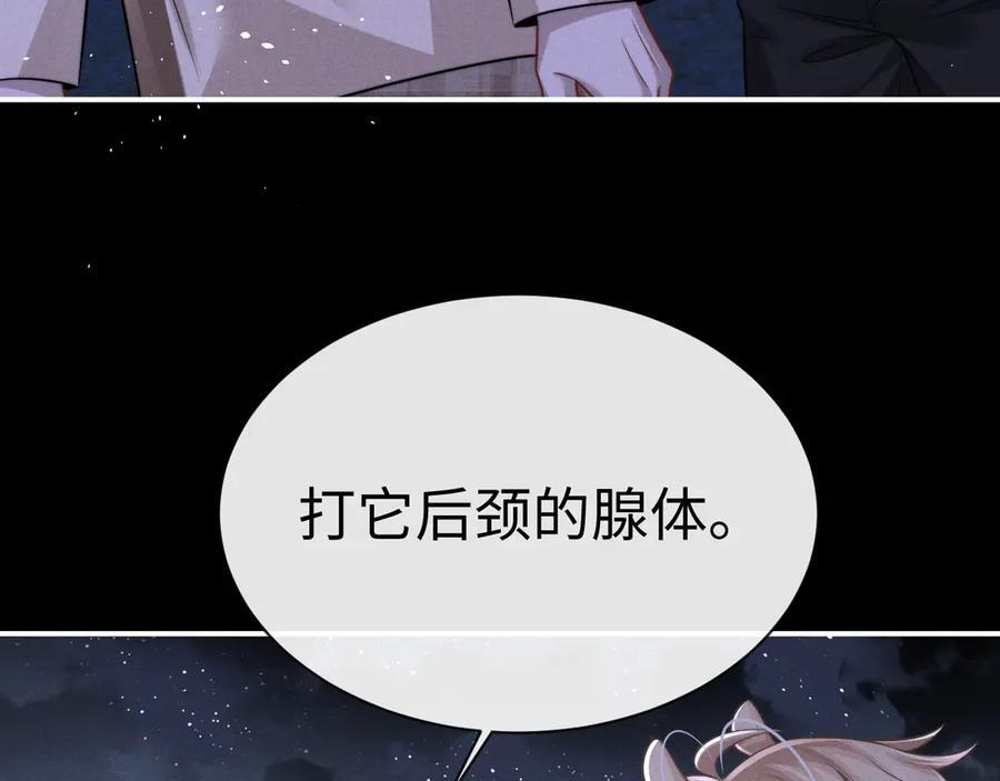 第174话 第41页