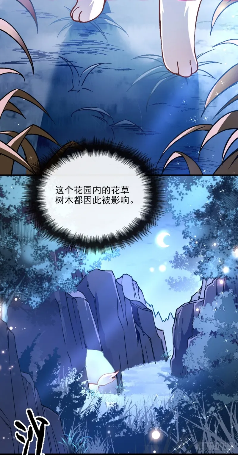 阵法禁术 第5页