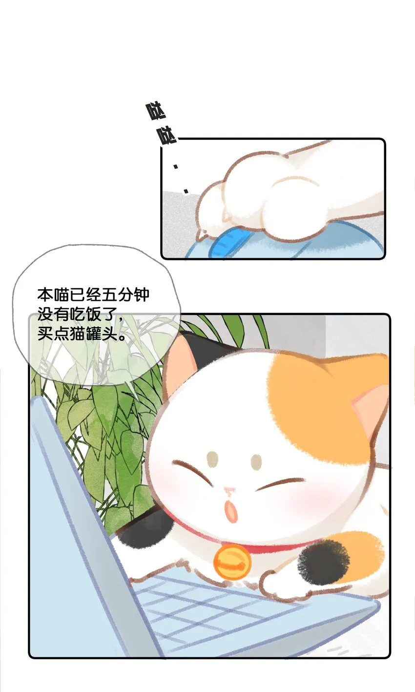 31 原价998，现在只要98？！ 第3页