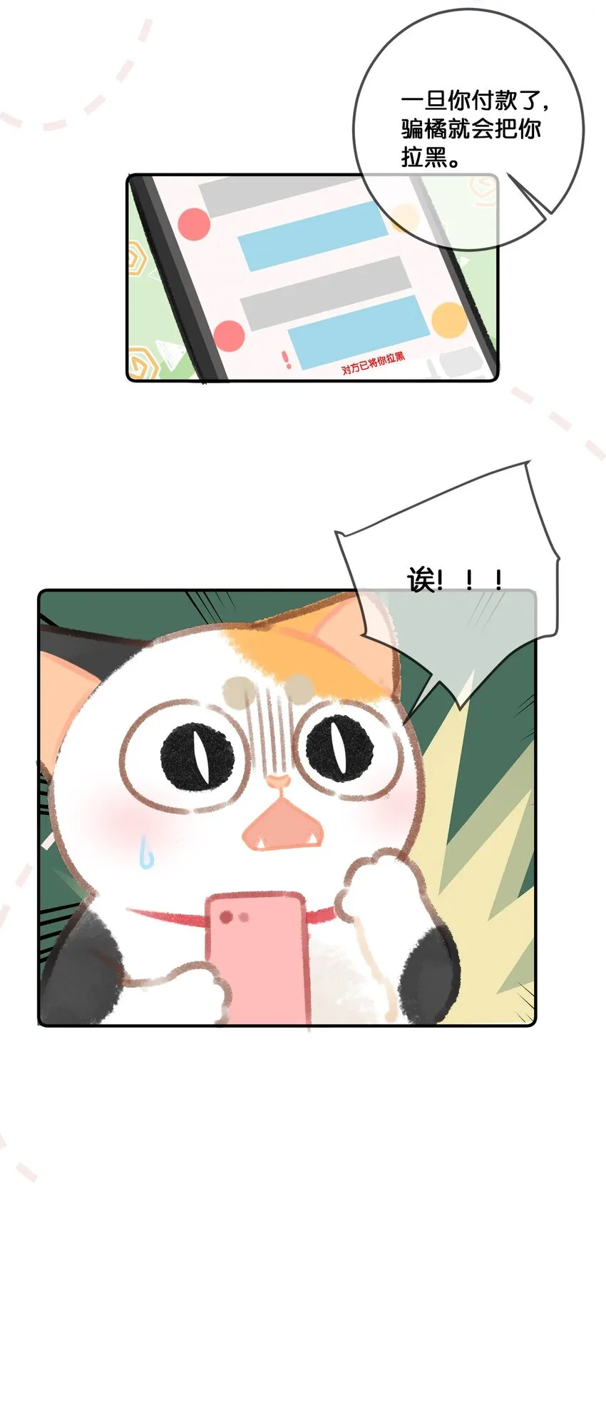 31 原价998，现在只要98？！ 第12页