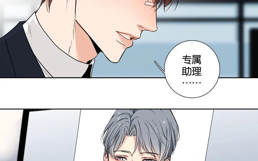 新作预告 第26页