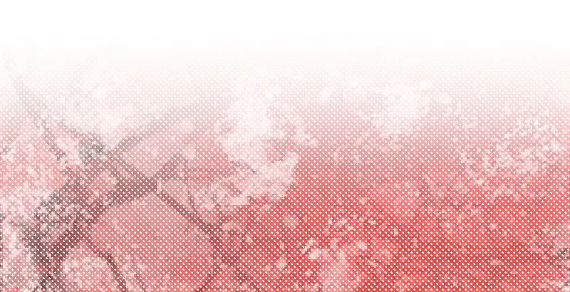 第三十话 流萤夜曲 第65页