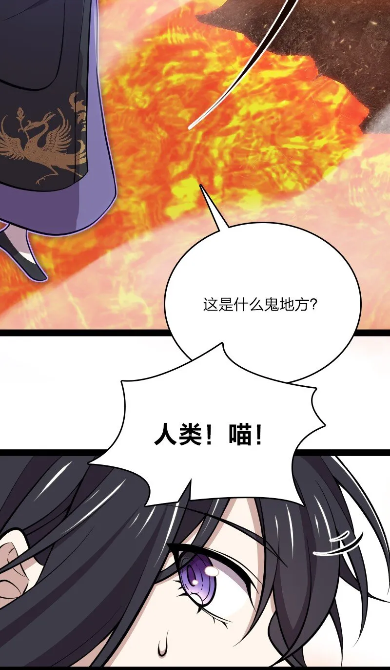 094 猫咪？ 第49页