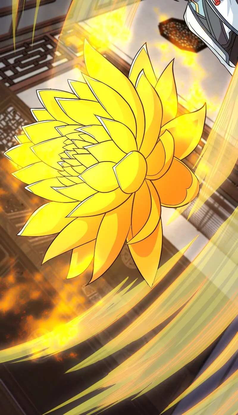 167 昭光芳华莲 第38页