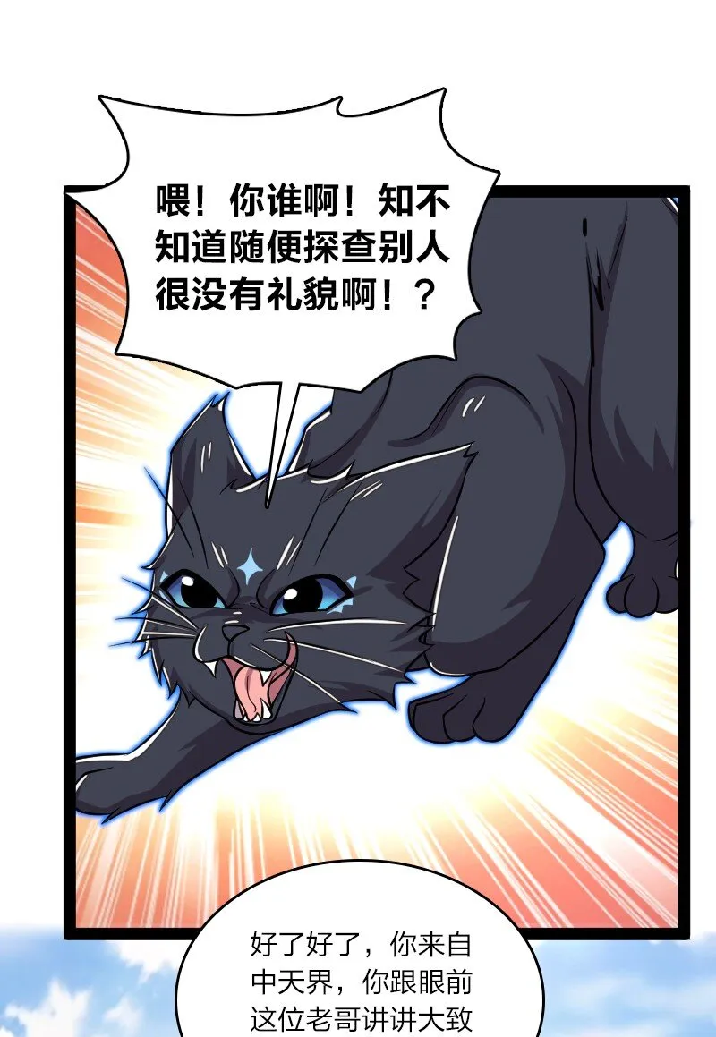 186 魔气的来历 第17页