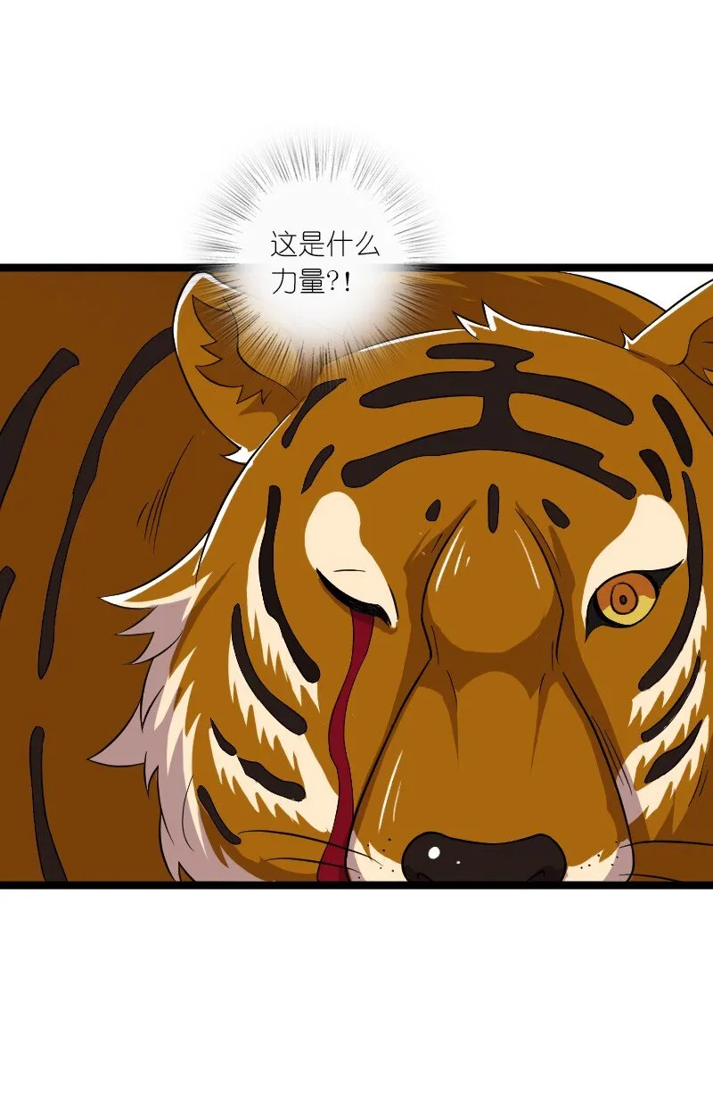 181 护身符 第44页