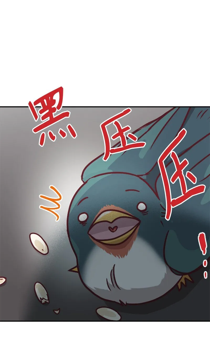 02 葫芦籽来了 第19页