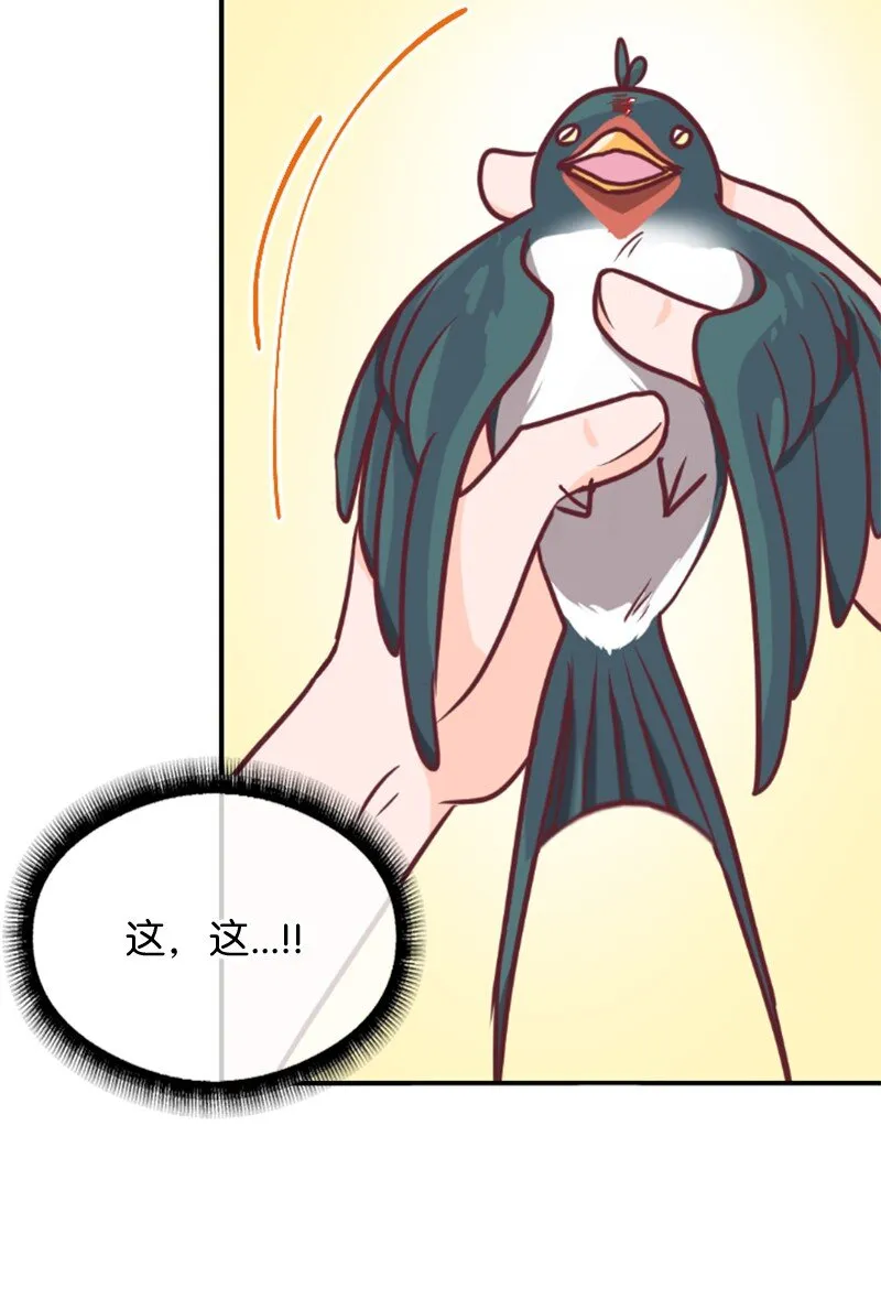 02 葫芦籽来了 第38页