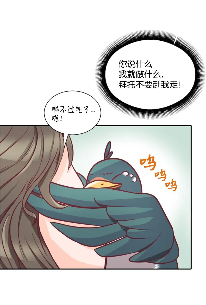 02 葫芦籽来了 第48页
