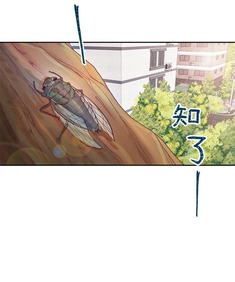 01 路边的燕子 第3页