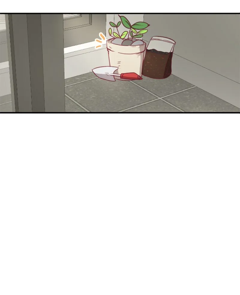 01 路边的燕子 第11页