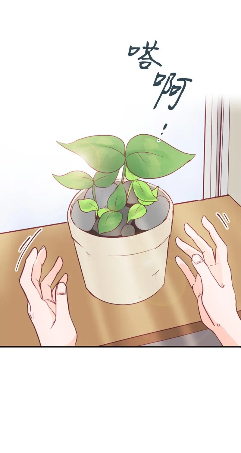01 路边的燕子 第12页