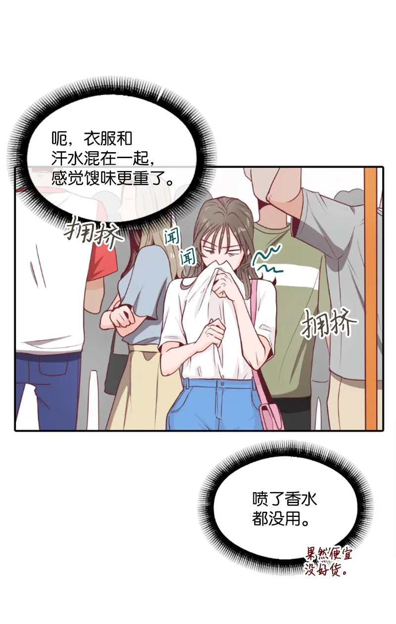 01 路边的燕子 第26页
