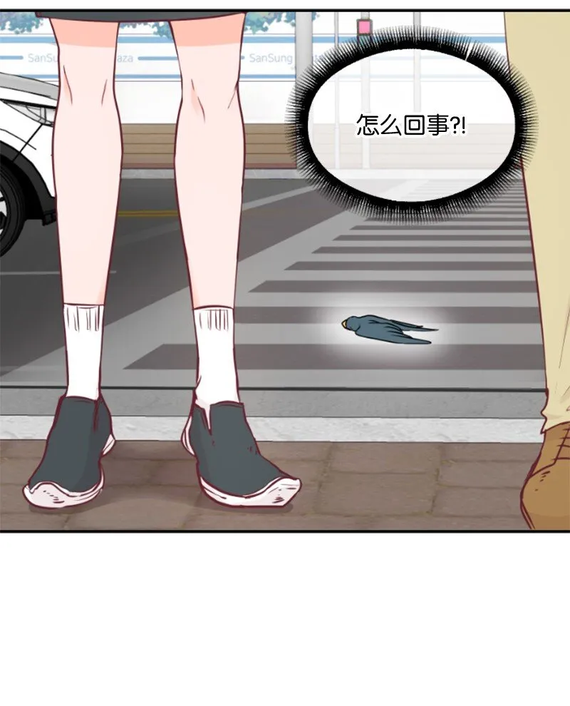 01 路边的燕子 第37页