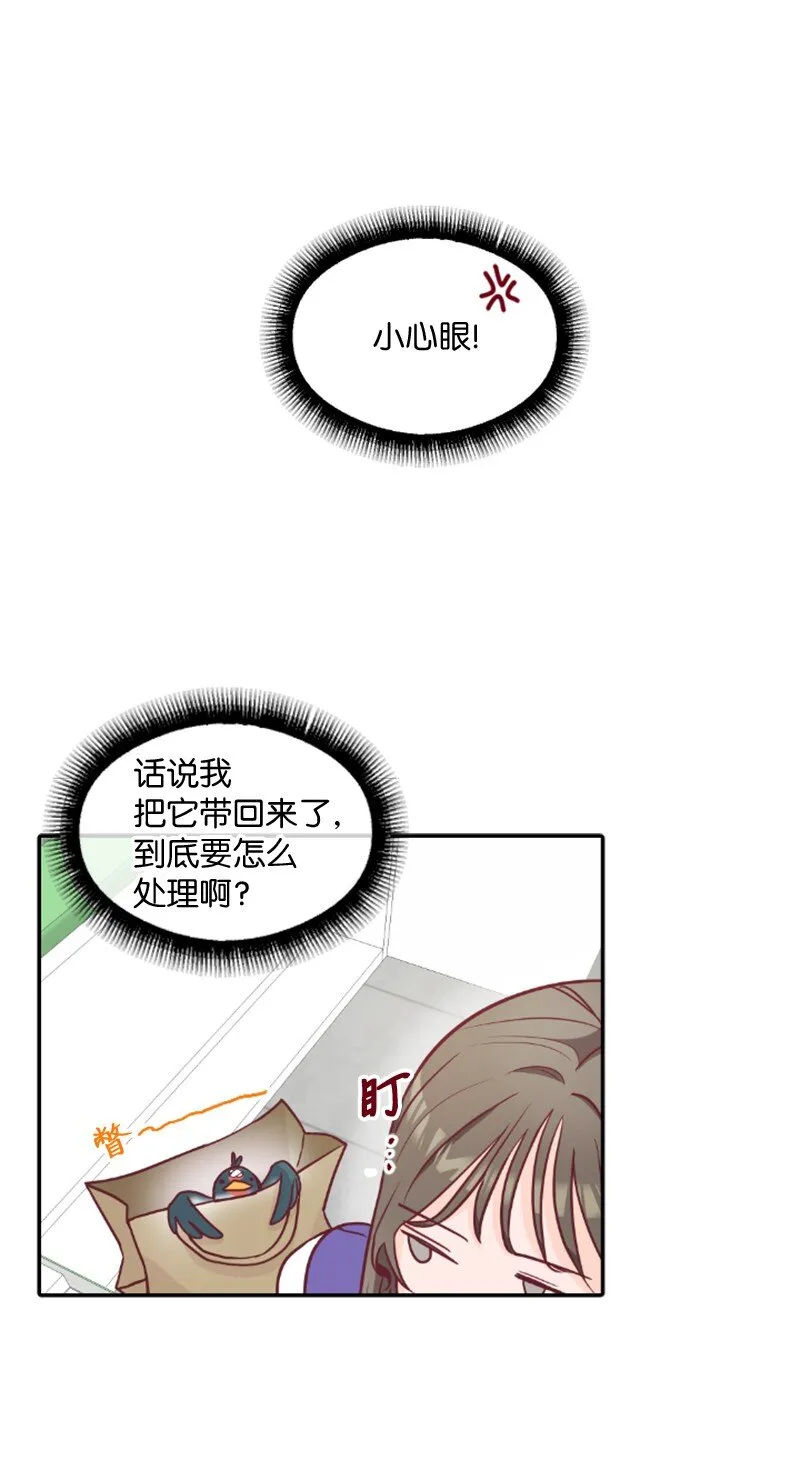 01 路边的燕子 第45页
