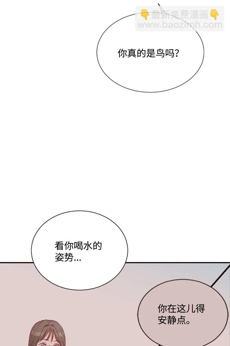 01 路边的燕子 第49页